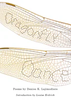 Cover of 'Dragonfly Dance' by Denise K. Lajimodiere and Denise K. Lajimodiere 