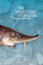 The Great Lake Sturgeon