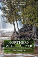 Northern White-Cedar