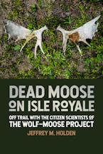 Dead Moose on Isle Royale
