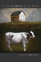 Cover of 'In the Kingdom of the Ditch' by Todd Davis 
