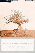 The Poetry of the American Civil War