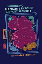 Smuggling Elephants through Airport Security