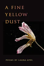 Cover of 'A Fine Yellow Dust' by Laura Apol 